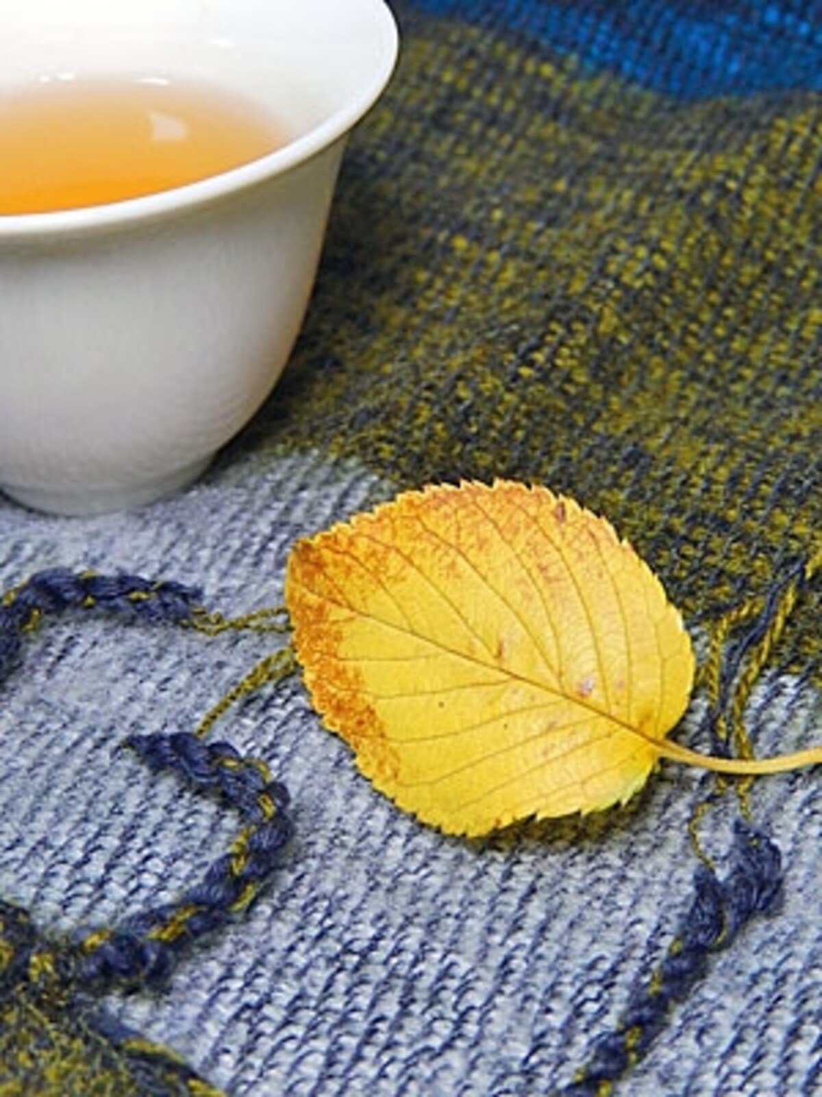 茶杯