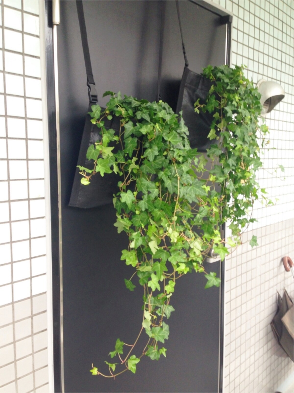 ROOM in GREEN