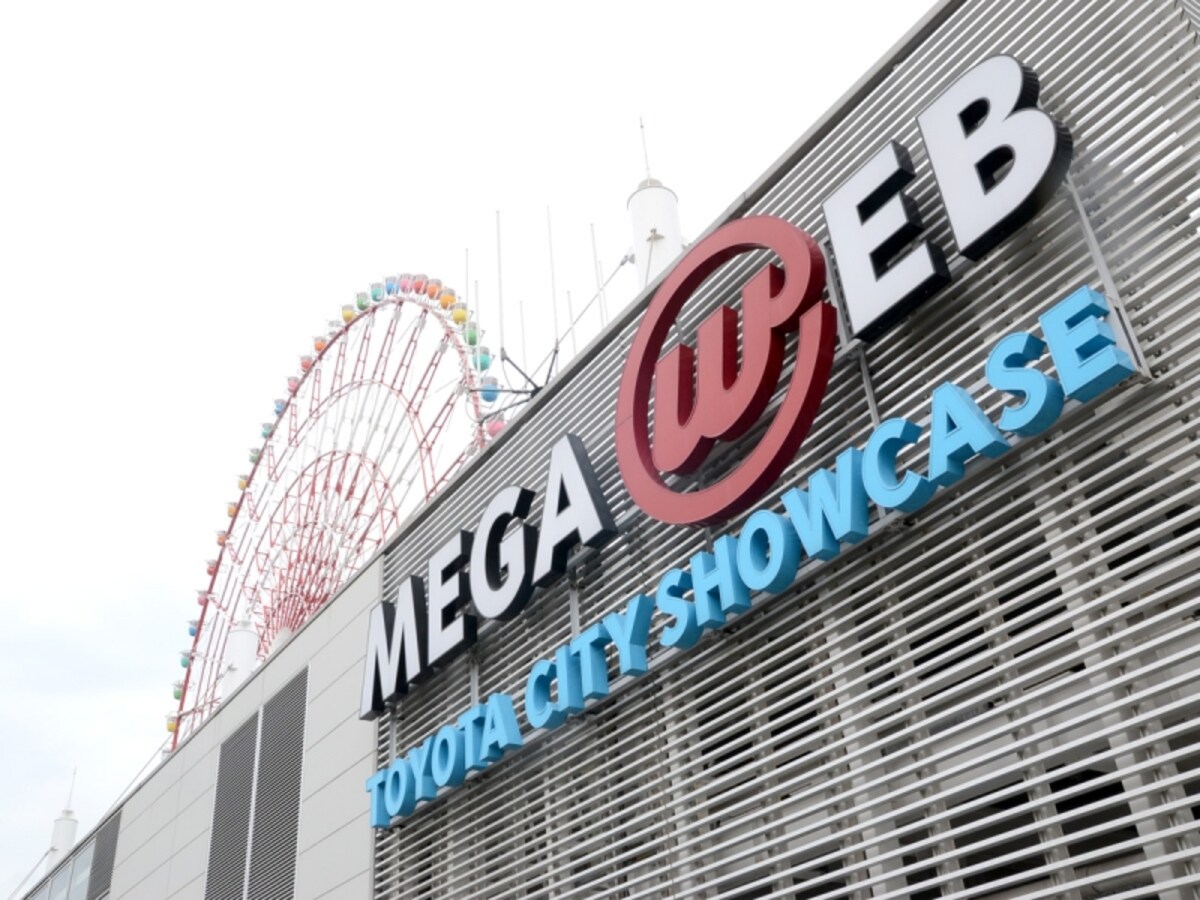 MEGA WEB