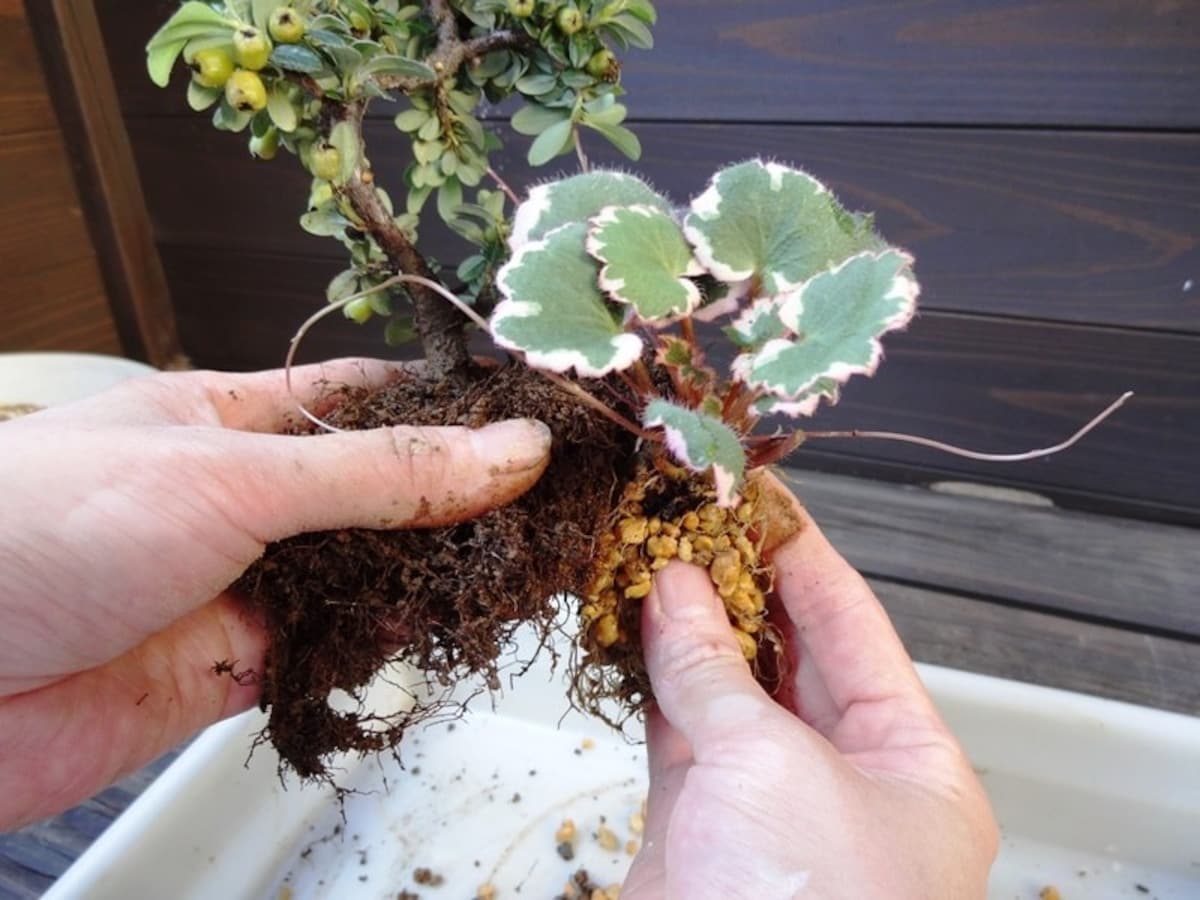 手の中で花束を組むように配置決め