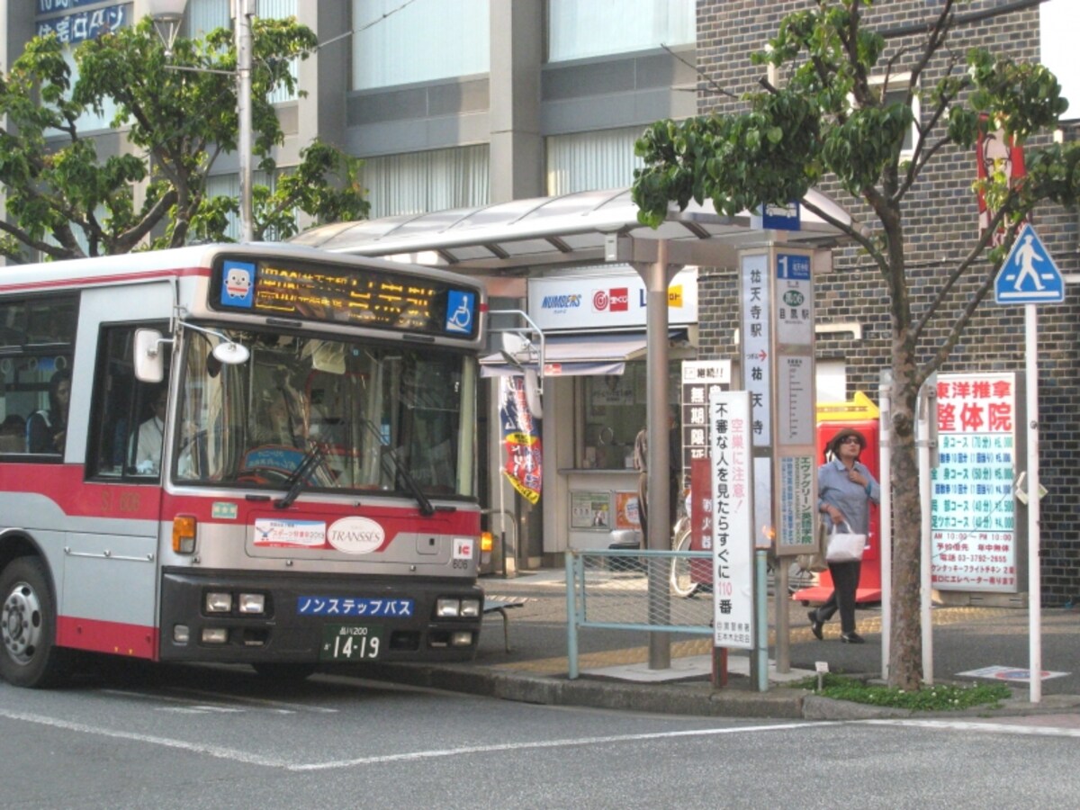 バス