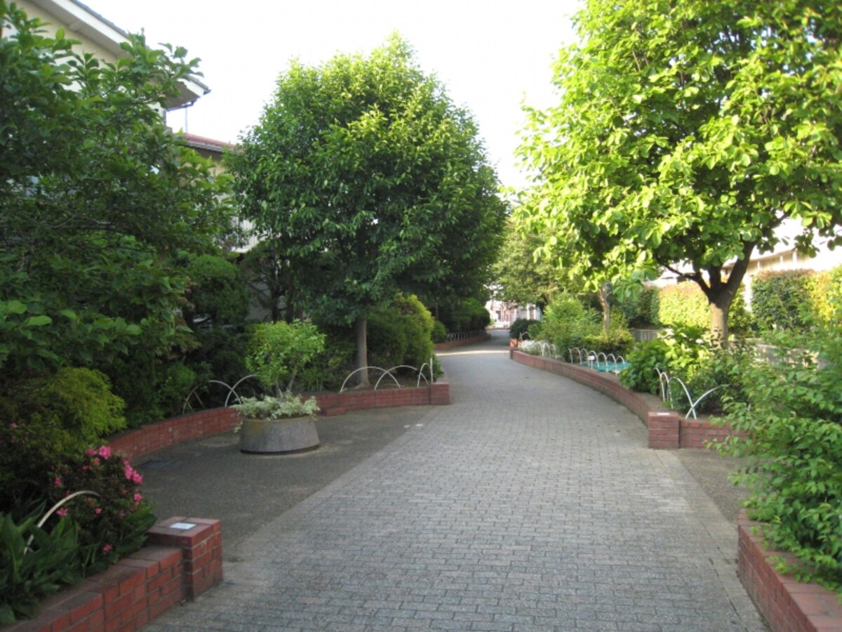 緑道