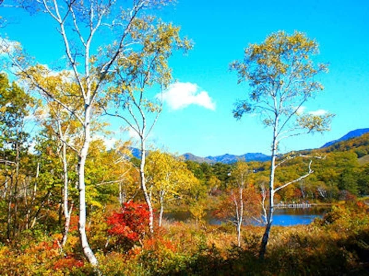 紅葉の志賀高原一沼