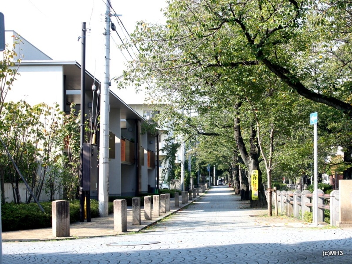 木造高級賃貸住宅「ディアガーデン深沢」