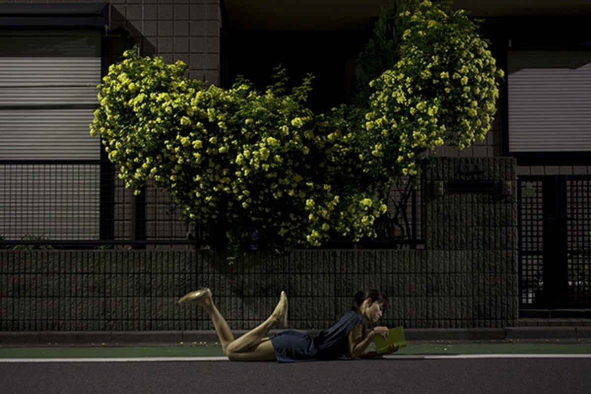 井村一巴 《wonderwall ? reading》 2013 （デジタルデータ）