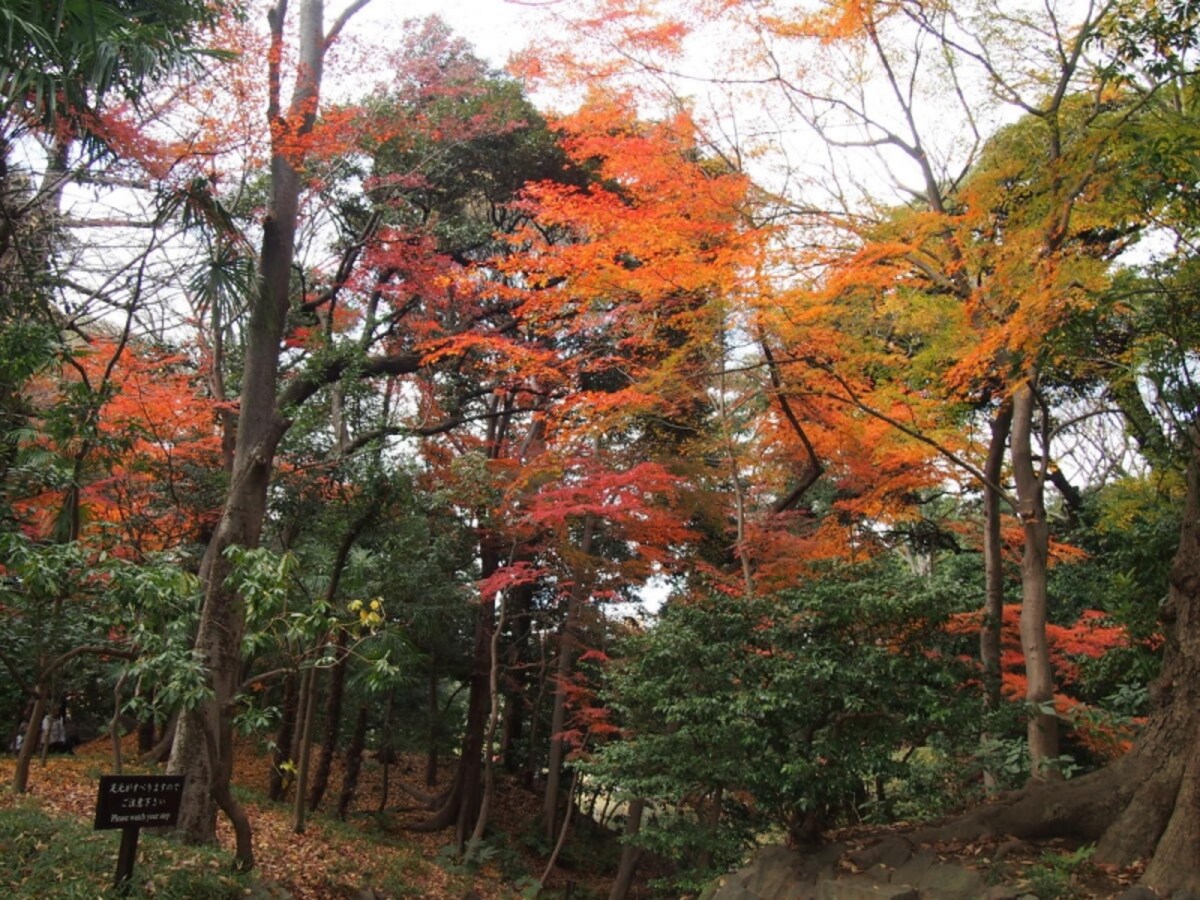 想像以上の素晴らしいさだった