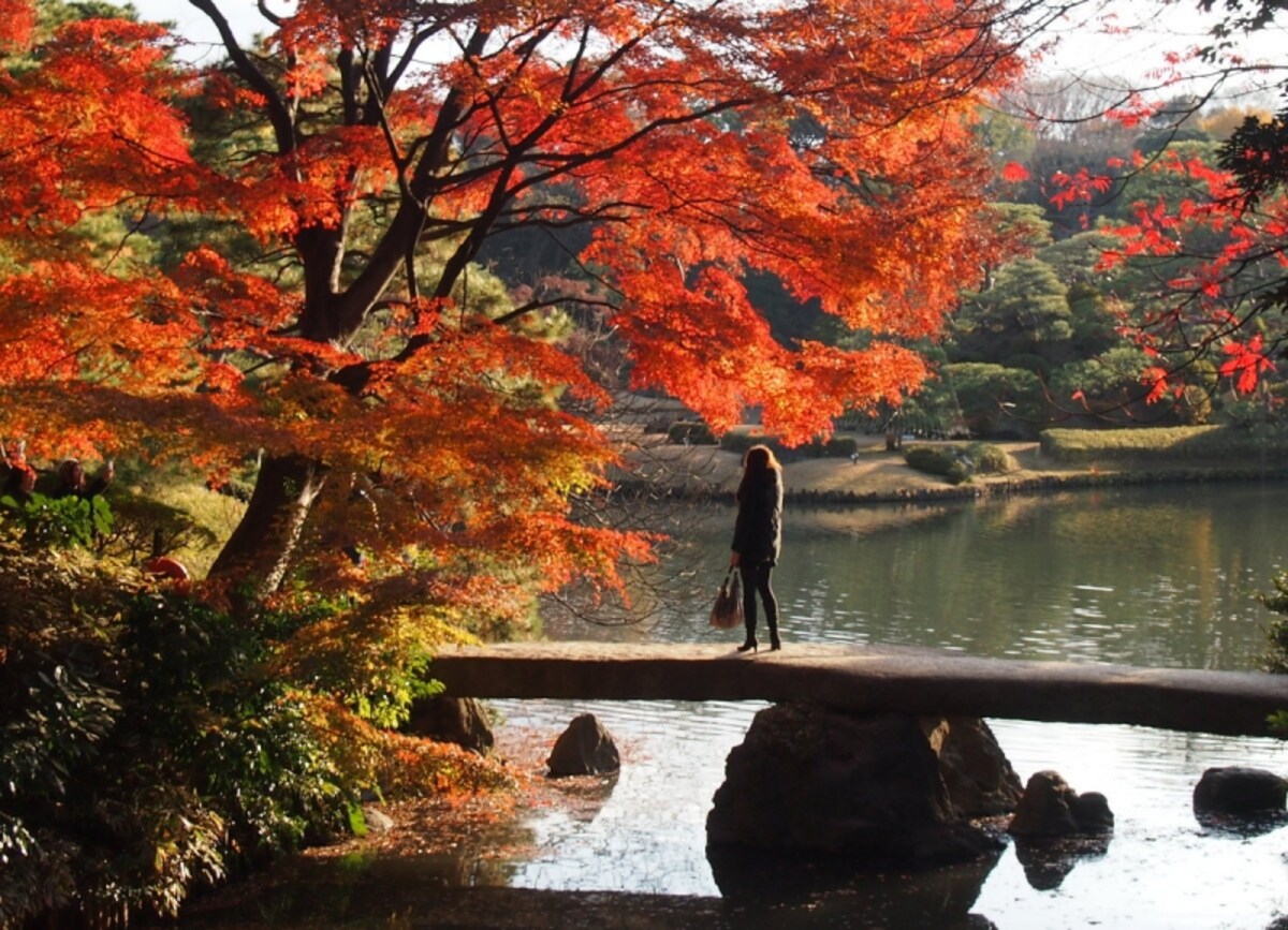 こちらも水に映る紅葉が美しい