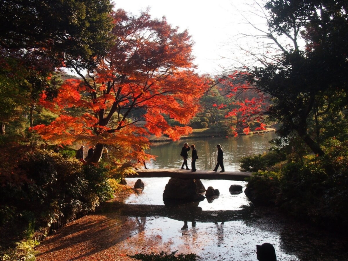 紅葉が実に美しい