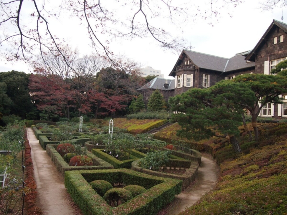 紅葉はこの斜面の下に日本庭園がある