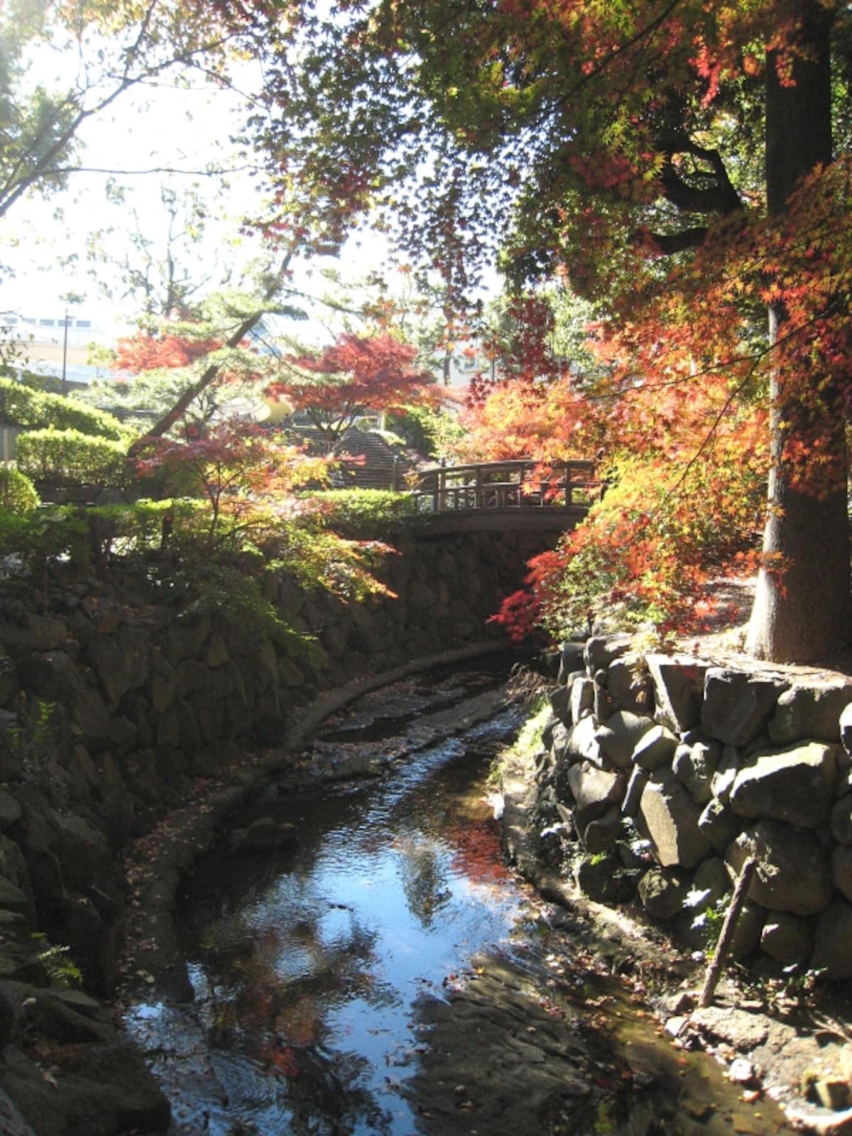 中堀川沿い