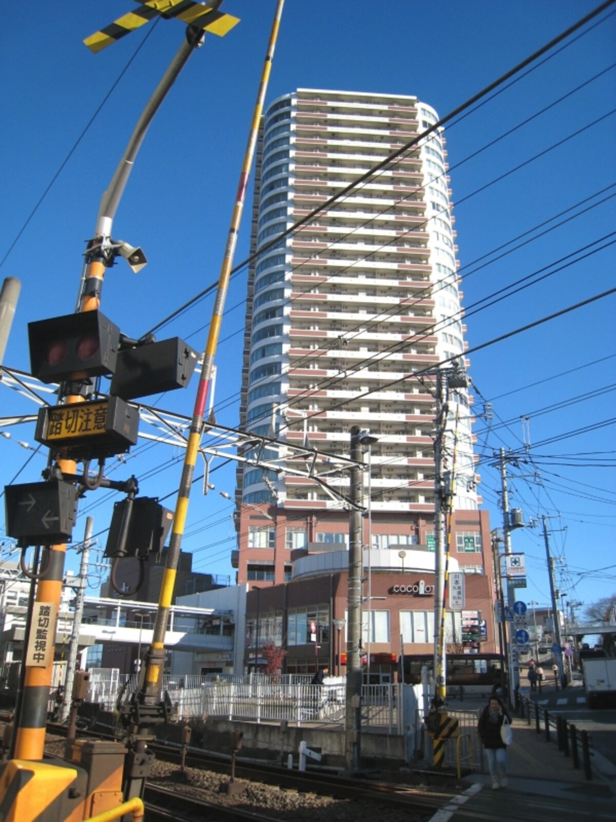 ココロット