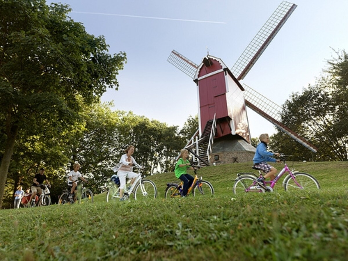 (c)milo-profi/visitflanders