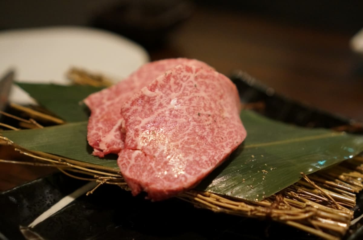 ヒレスキ用のヒレ