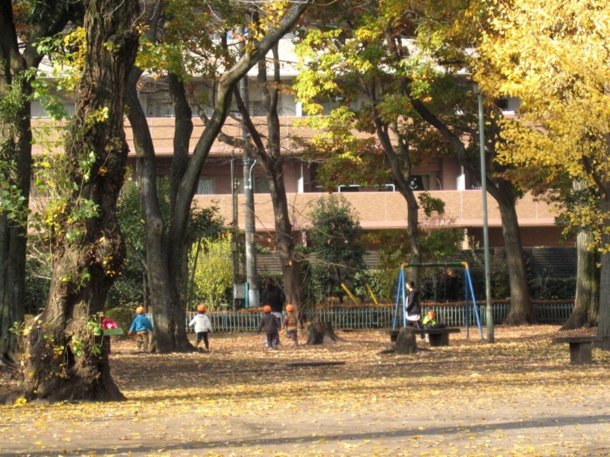 公園で遊ぶ子どもたち