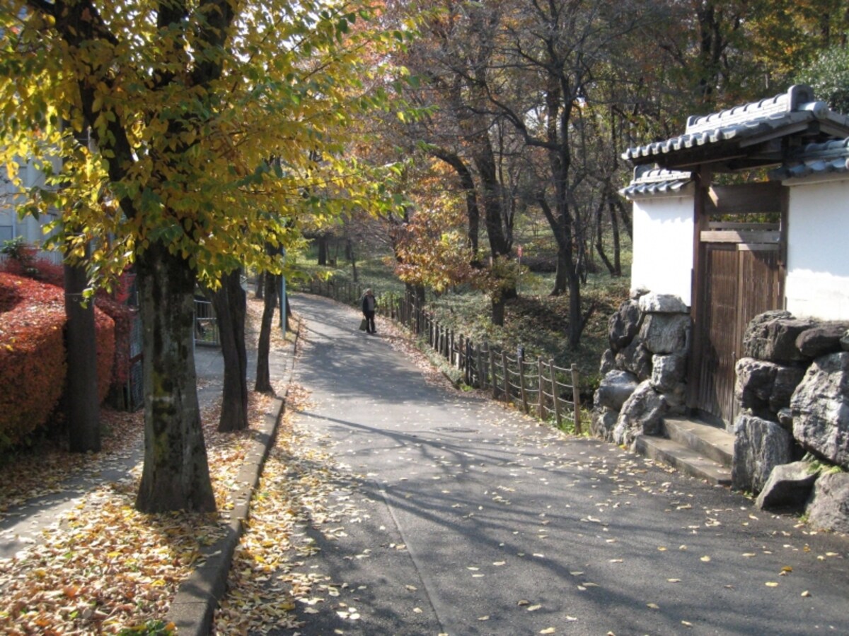 保存緑地と一戸建て