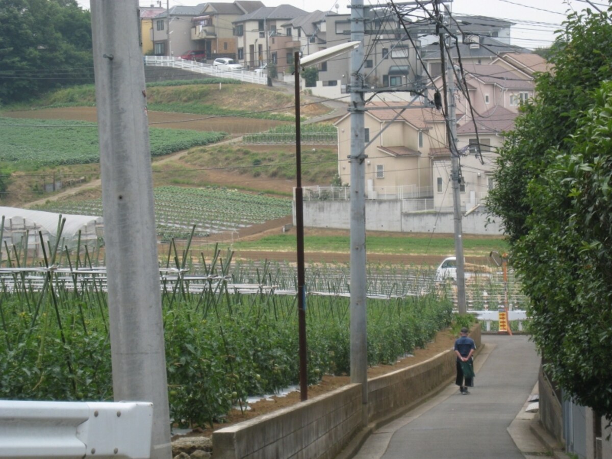 丘陵地