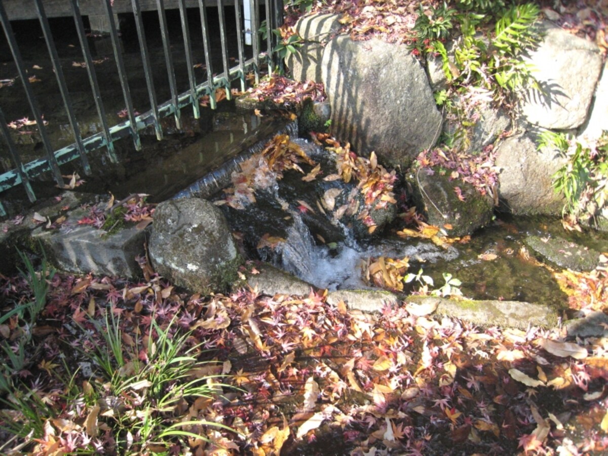 湧水