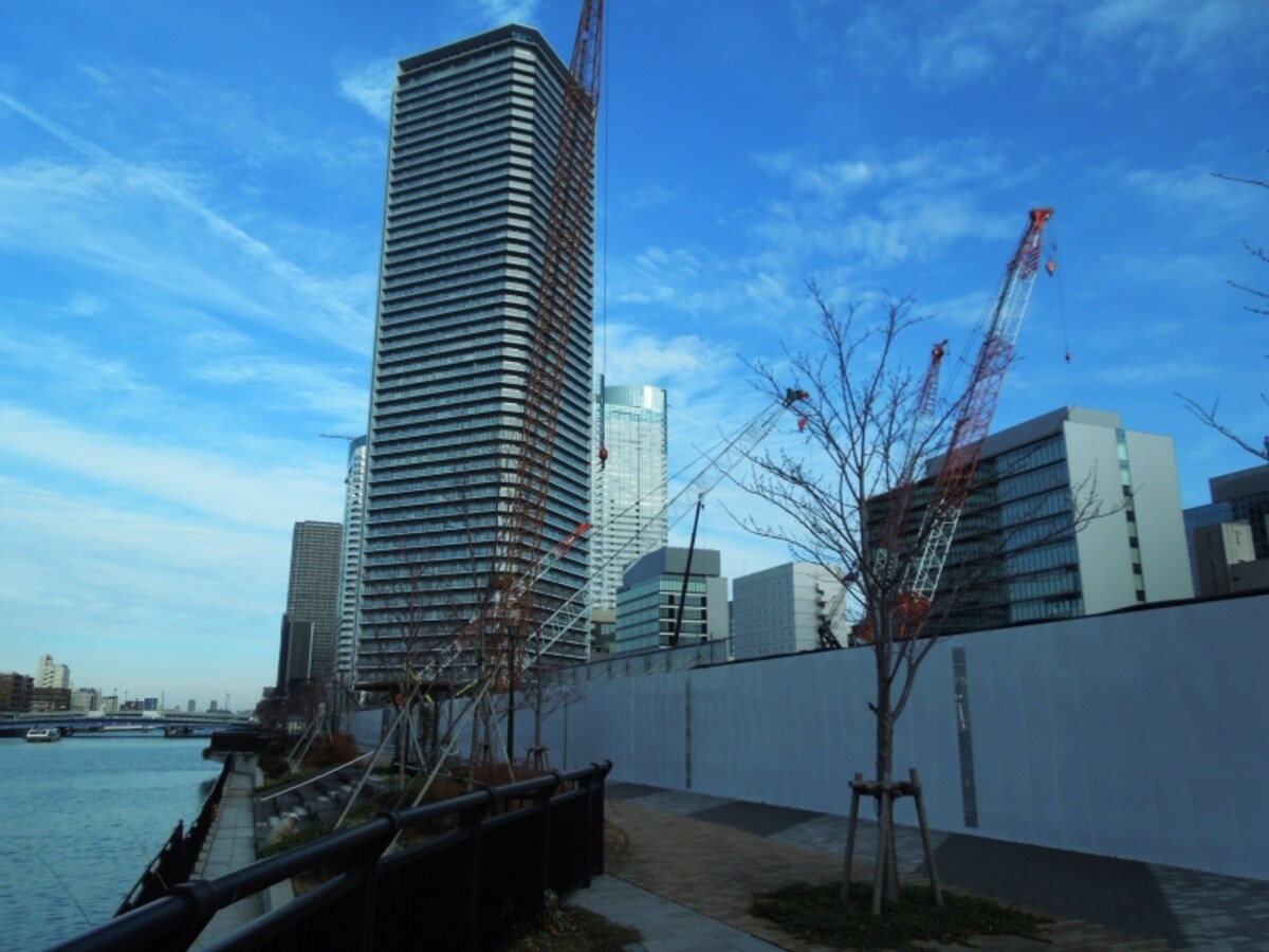 現地写真