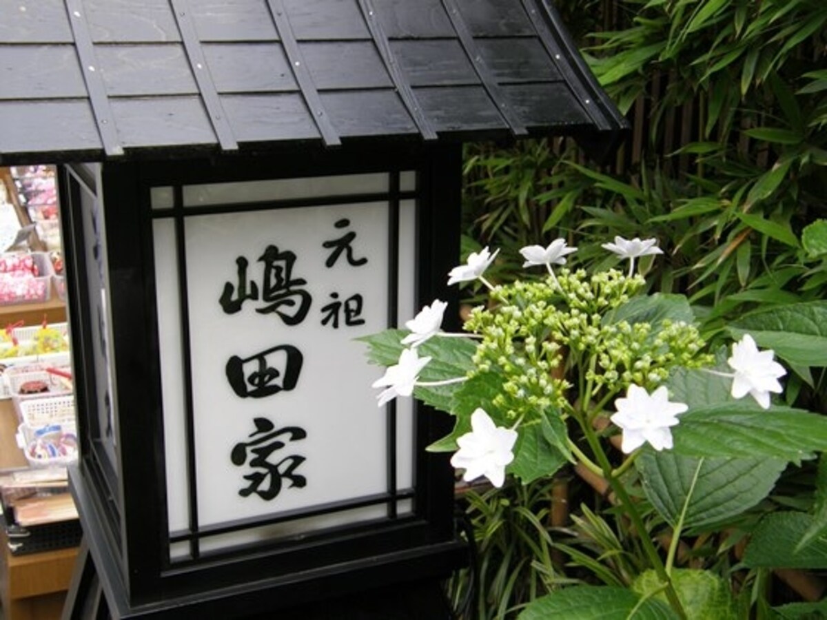 四季折々の草花に囲まれる同店