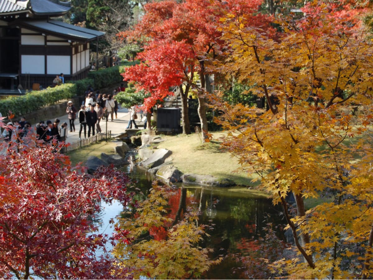 紅葉の季節の円覚寺境内