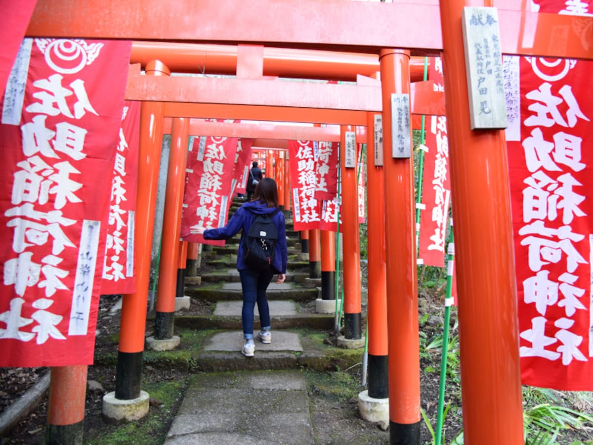 佐助稲荷神社参道の、延々と続く朱色の鳥居