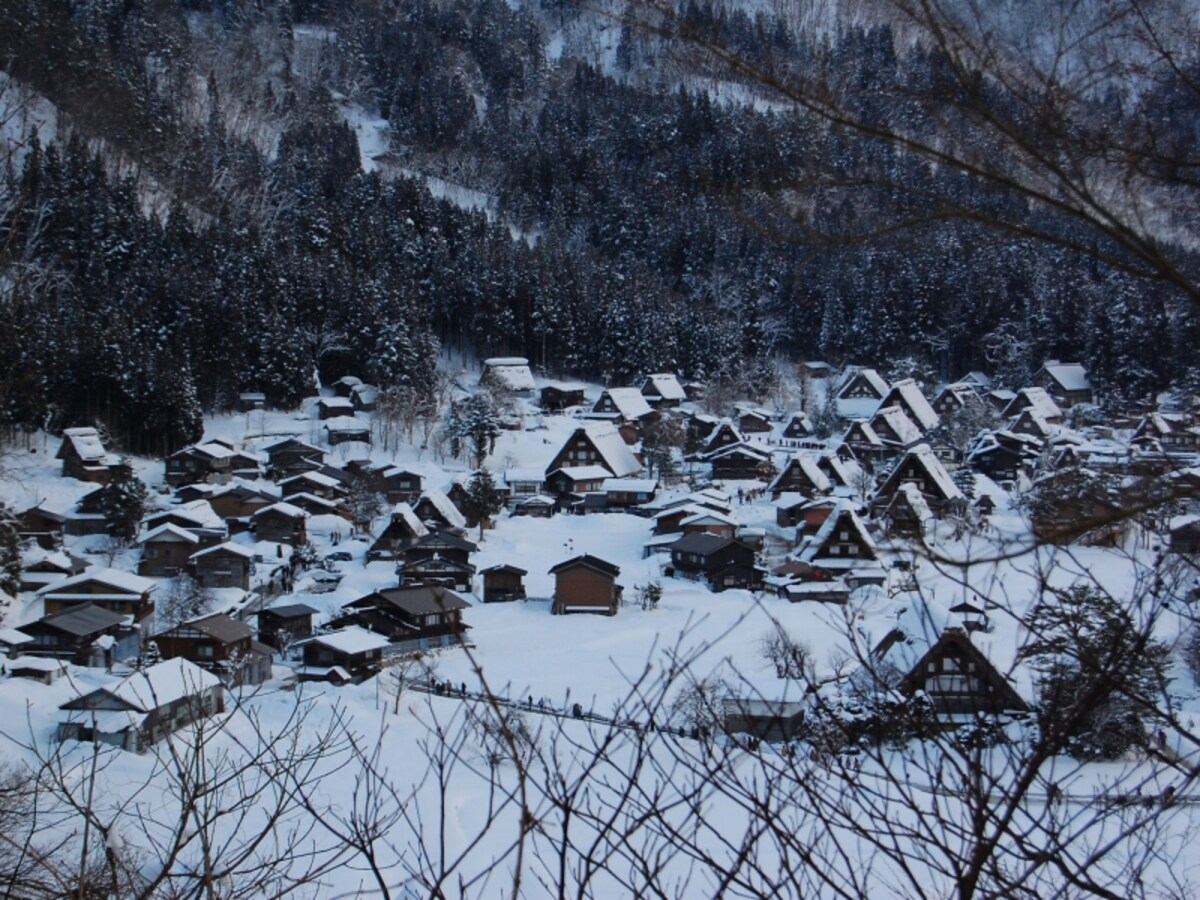 城山天守閣展望台から見た荻町集落