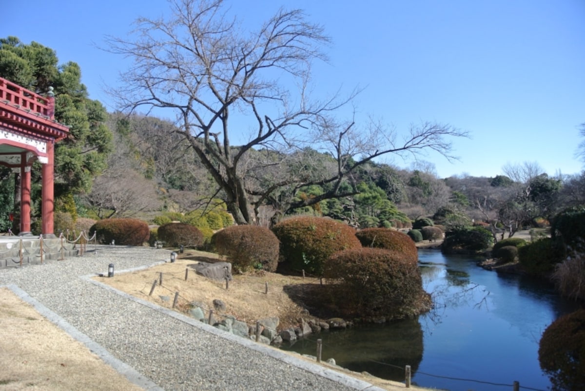 小石川植物園