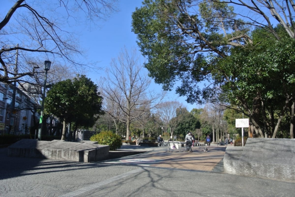 教育の森公園