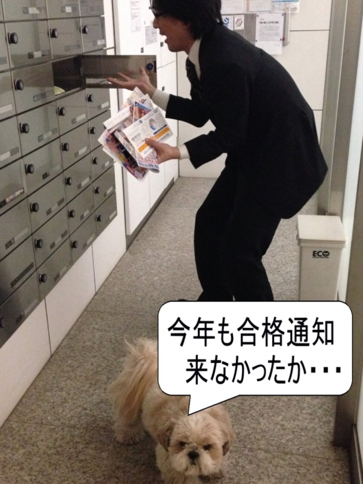 合格通知がこない写真