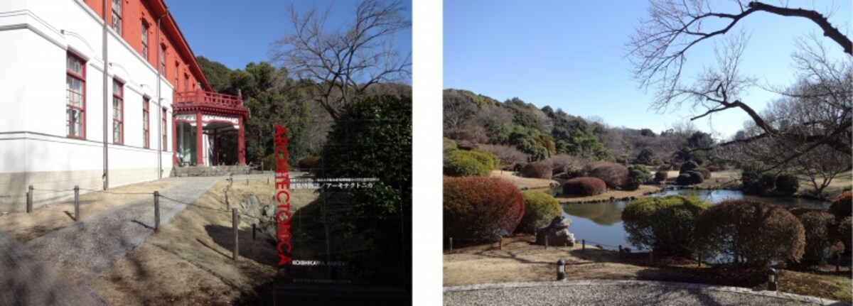 小石川植物園