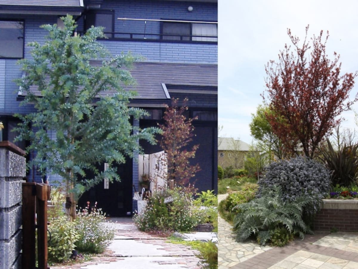 カラーリーフ植栽