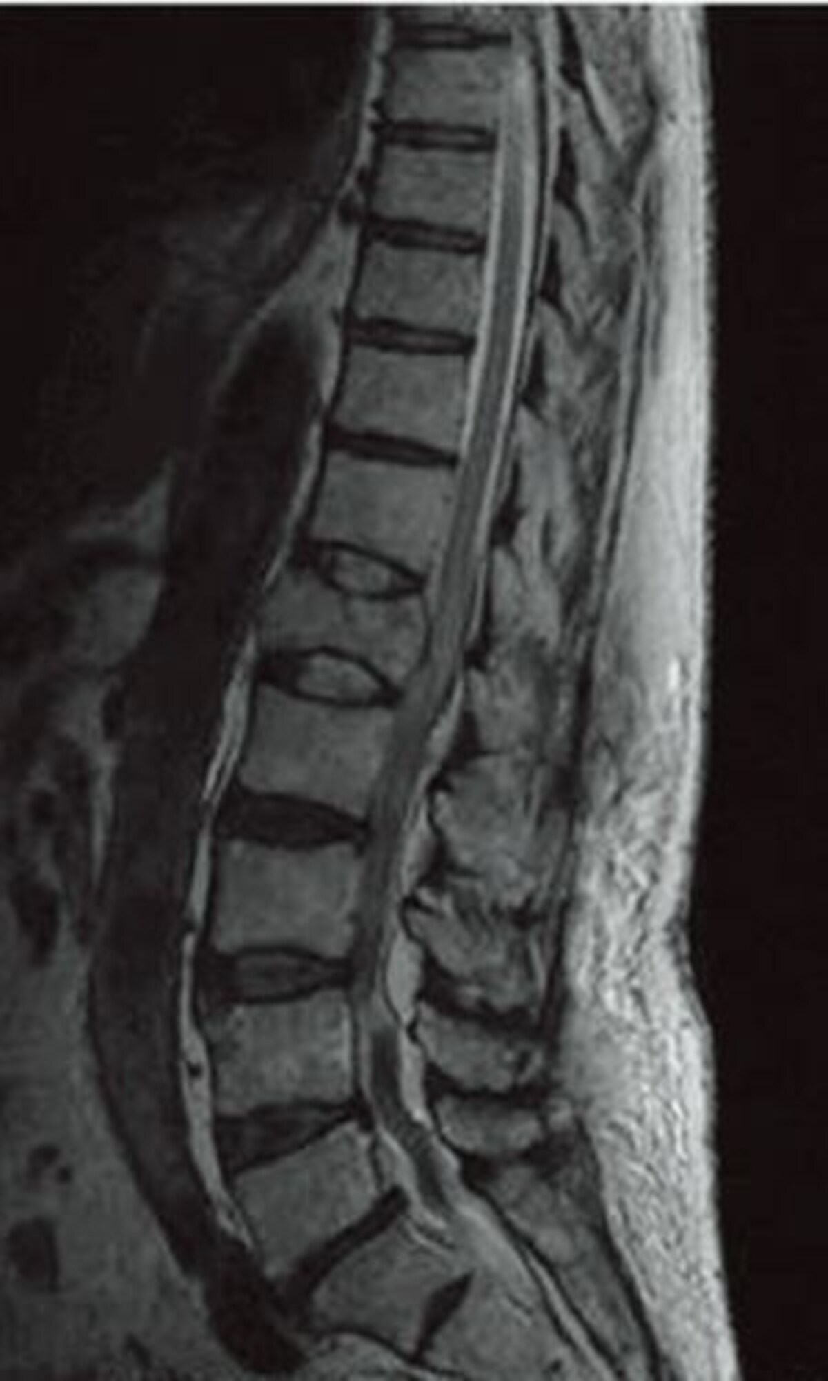 seikei1