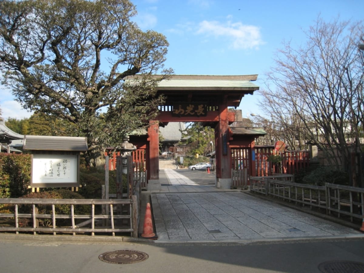妙蓮寺