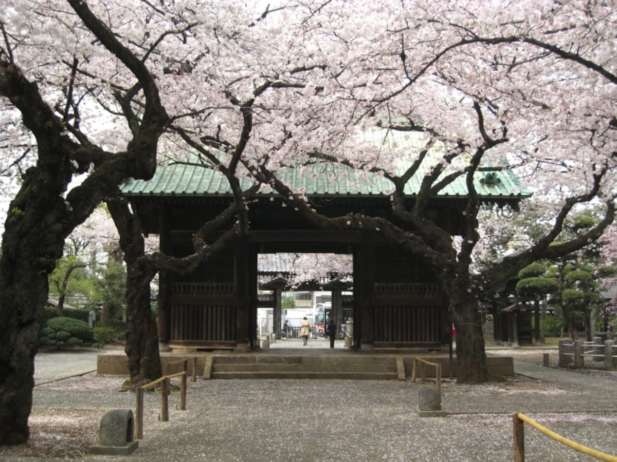 祐天寺