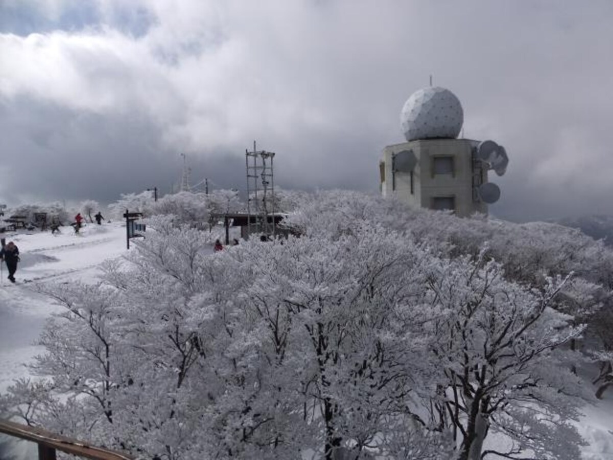 御在所岳の樹氷（6）