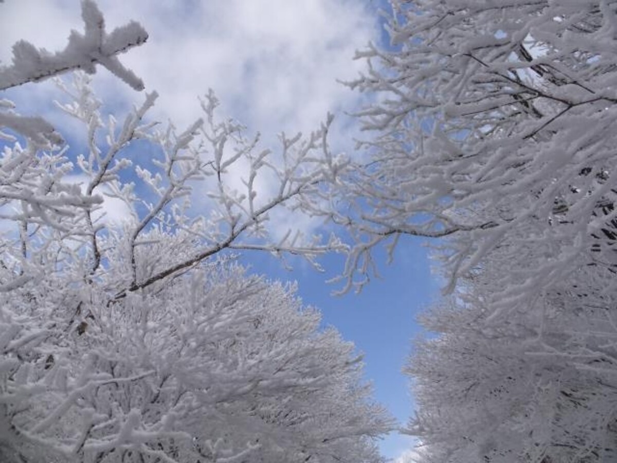 御在所岳の樹氷（8）