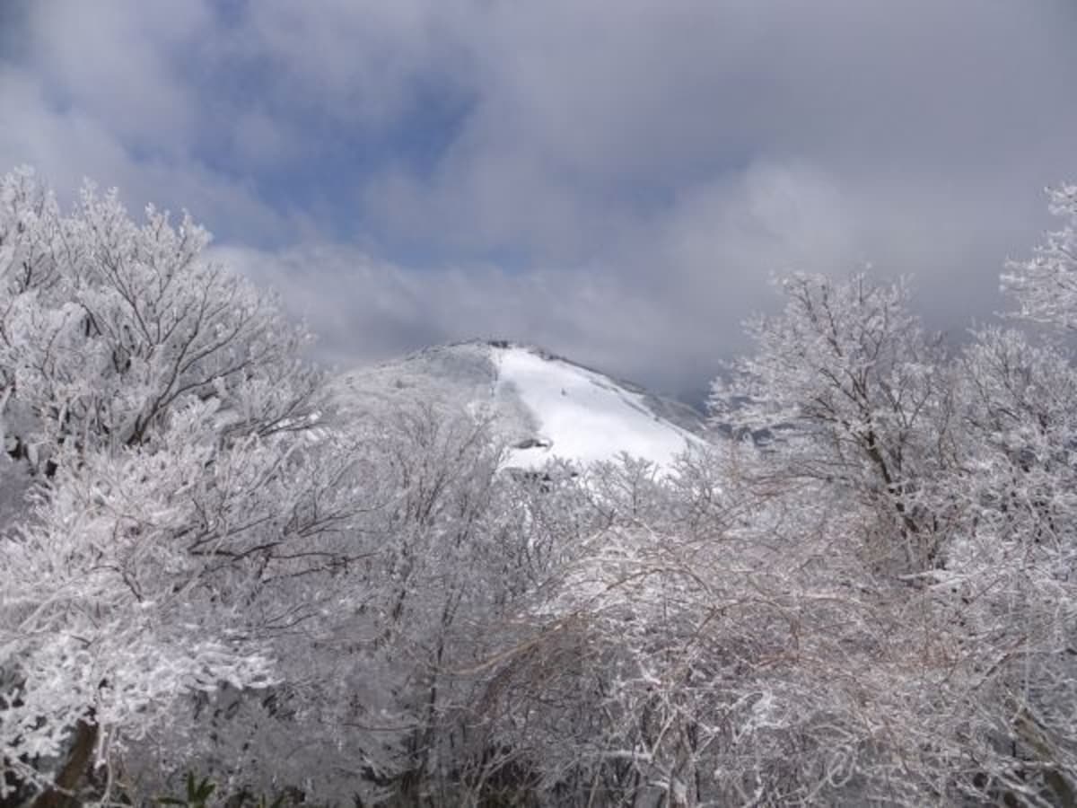 御在所岳の樹氷（1）