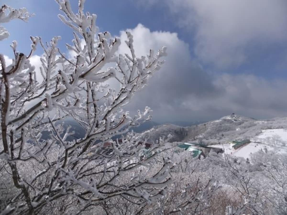 御在所岳の樹氷（3）