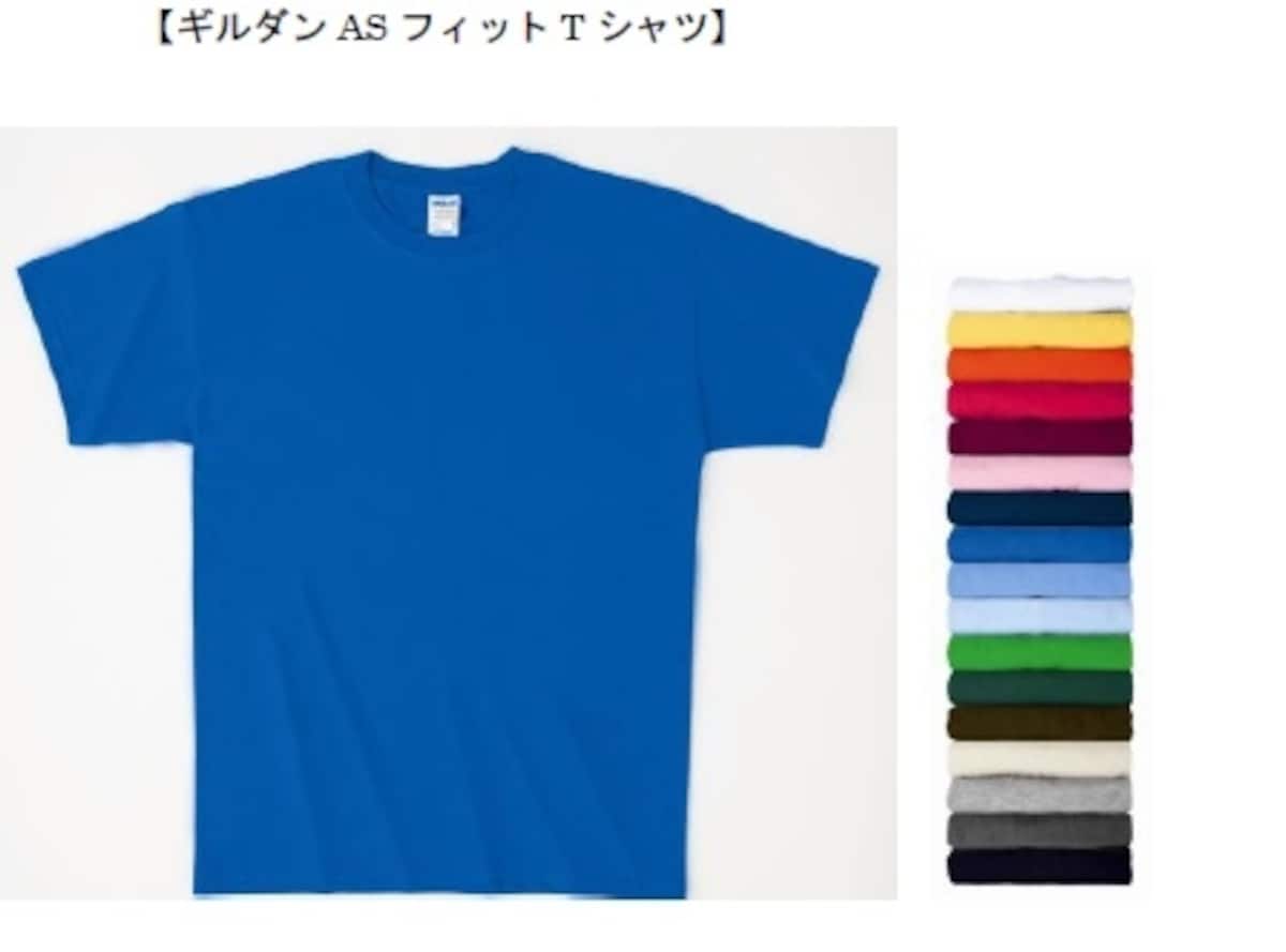 トランザクション　株主優待