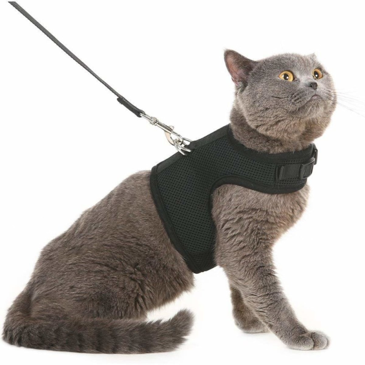 猫用のハーネスとリード／PUPTECK ハーネス 猫用（出典：Amazon）