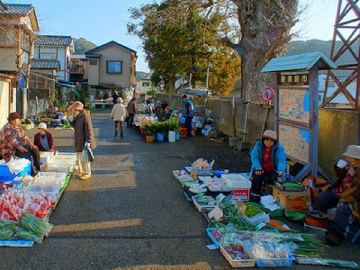 日本三大朝市の勝浦朝市