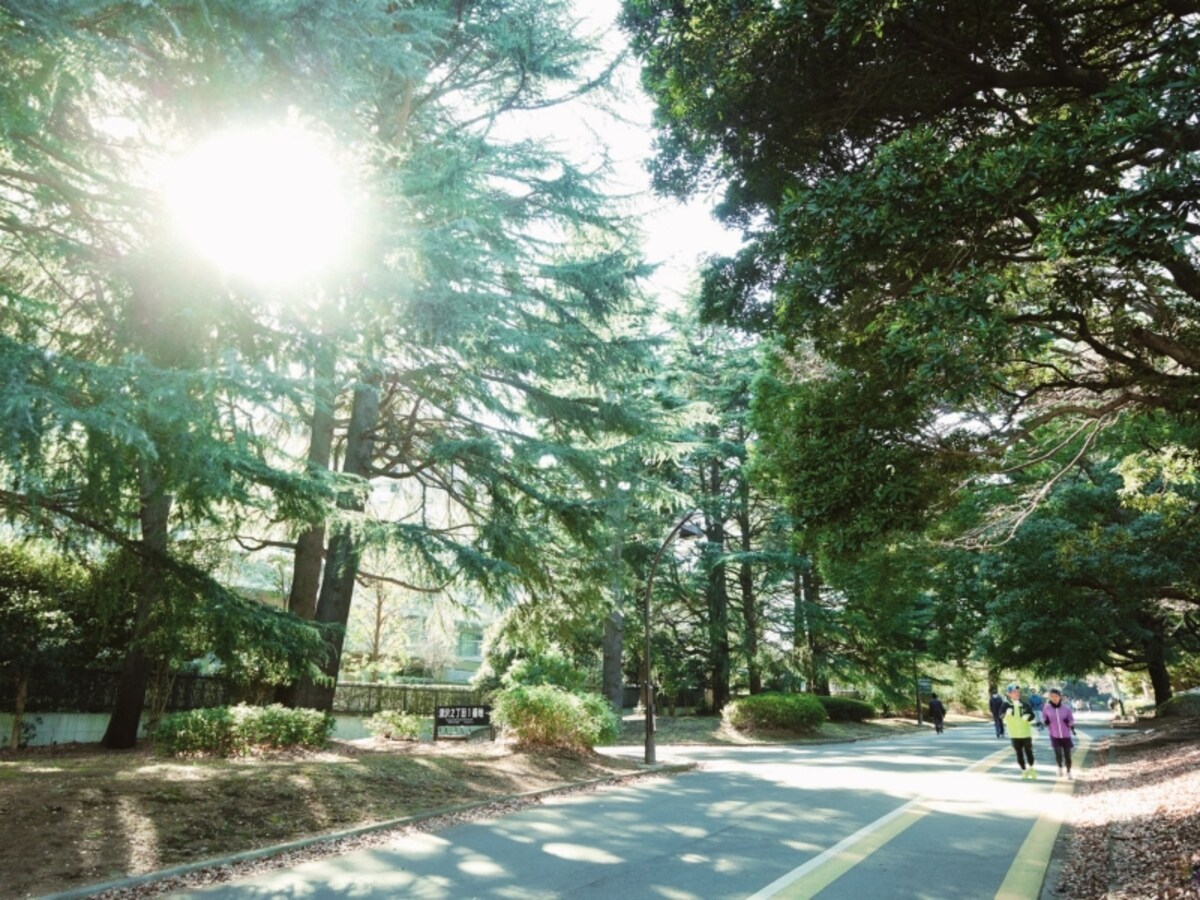 駒沢オリンピック公園