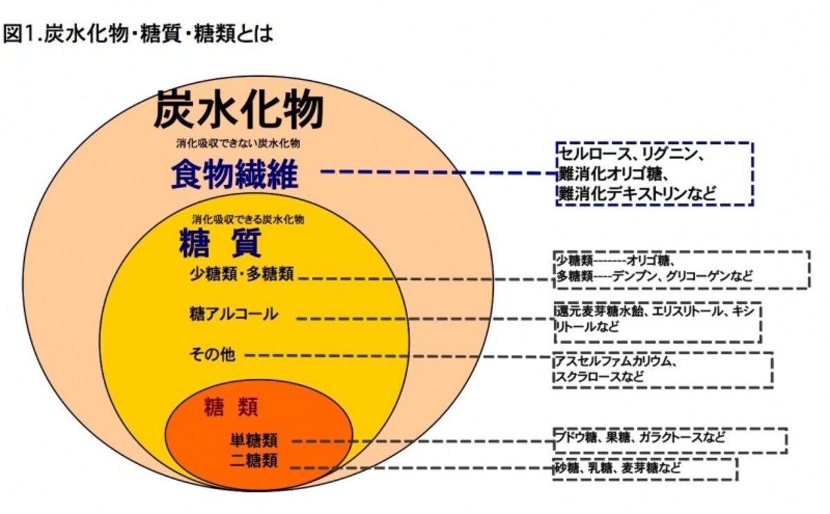 炭水化物,糖質,糖類,食物繊維,違い