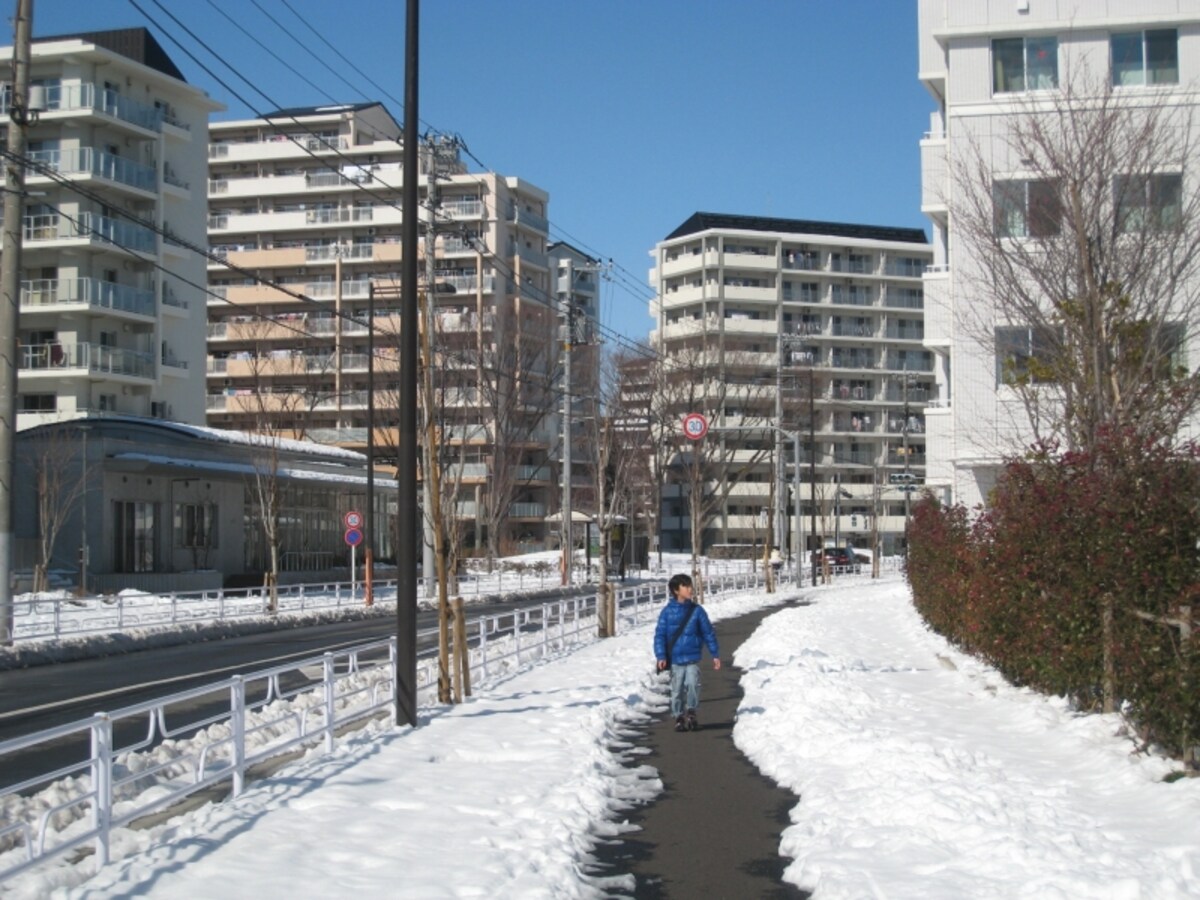 団地敷地内