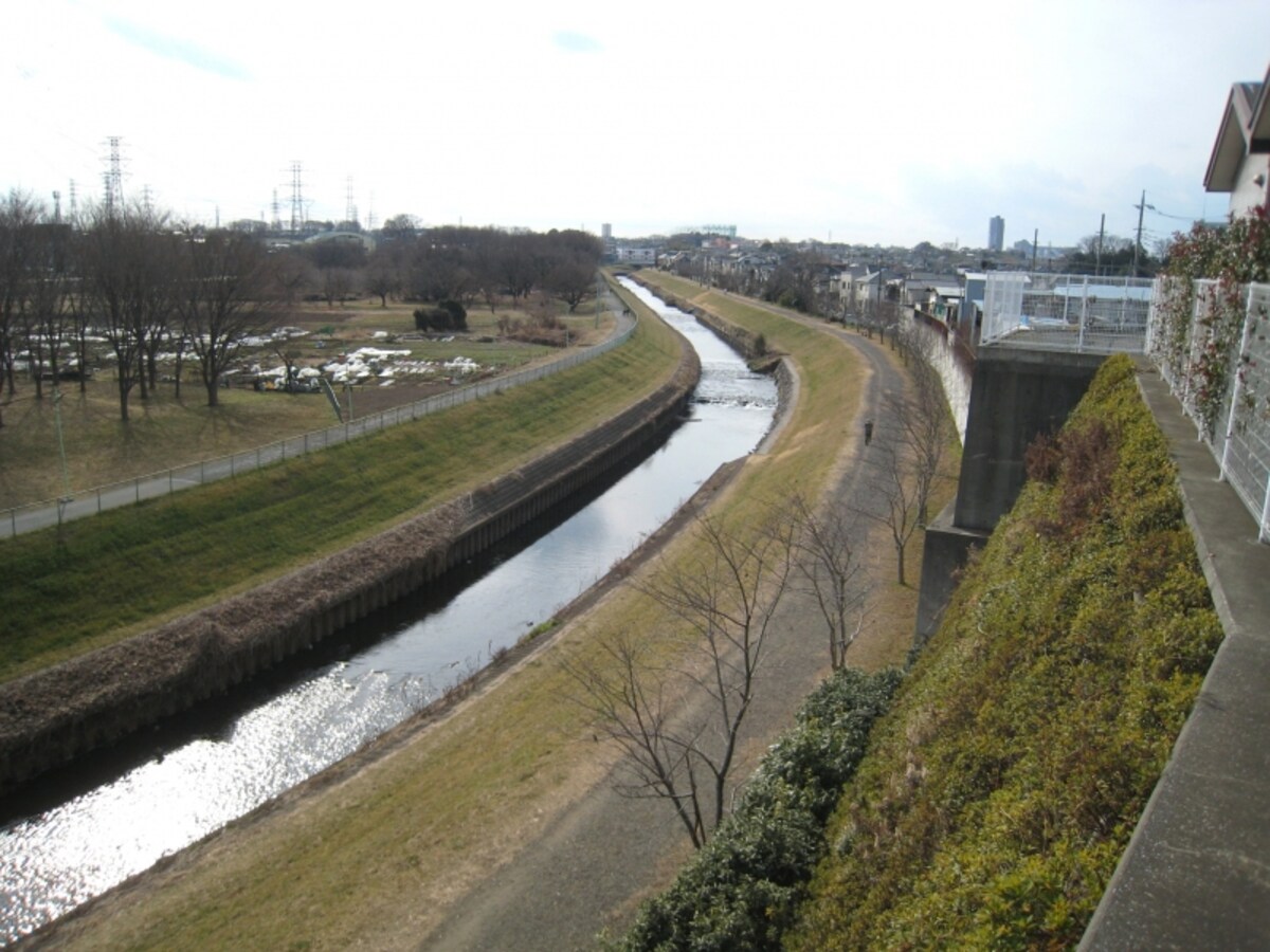 黒目川沿い
