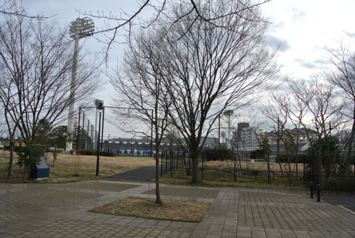 赤羽スポーツの森公園