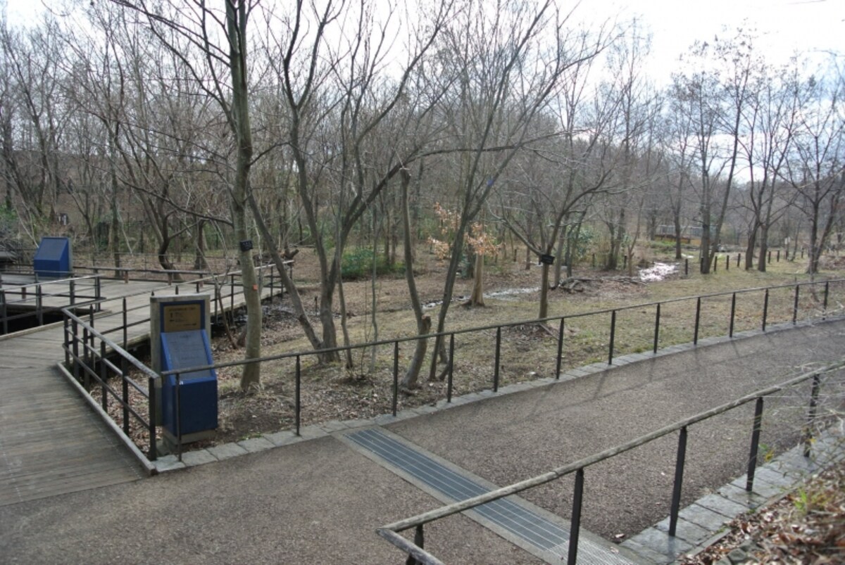 赤羽自然観察公園