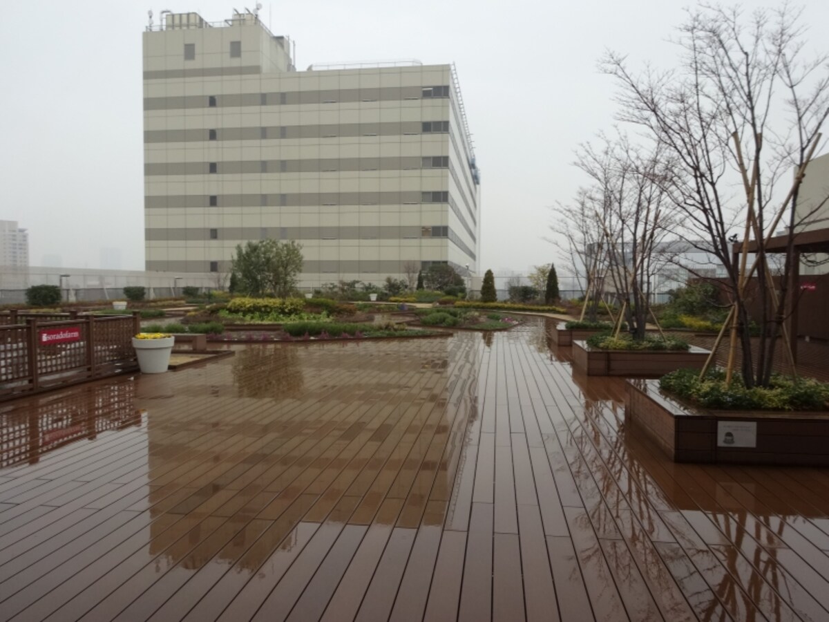 床が滑りやすいというので、雨の日は入場できないこともあるそうだ。