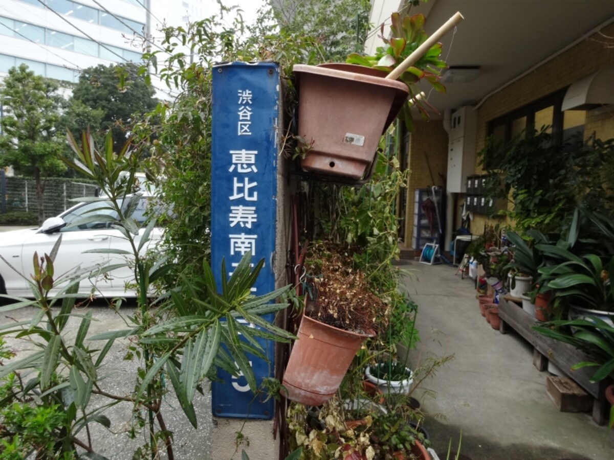 次々といろいろなものが現れる恵比寿南