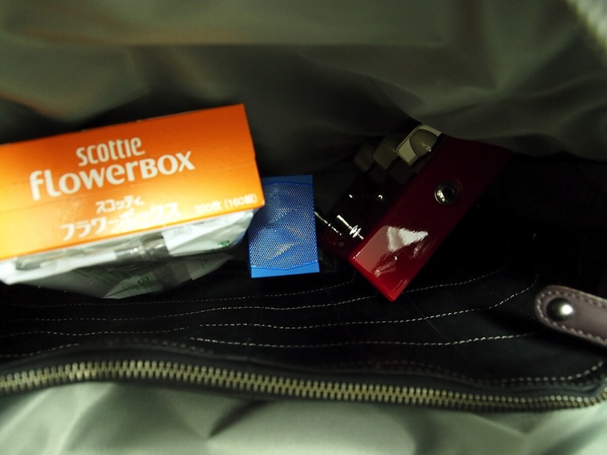 trunk09